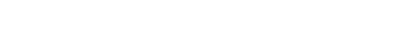 DATA DIMENSIONS